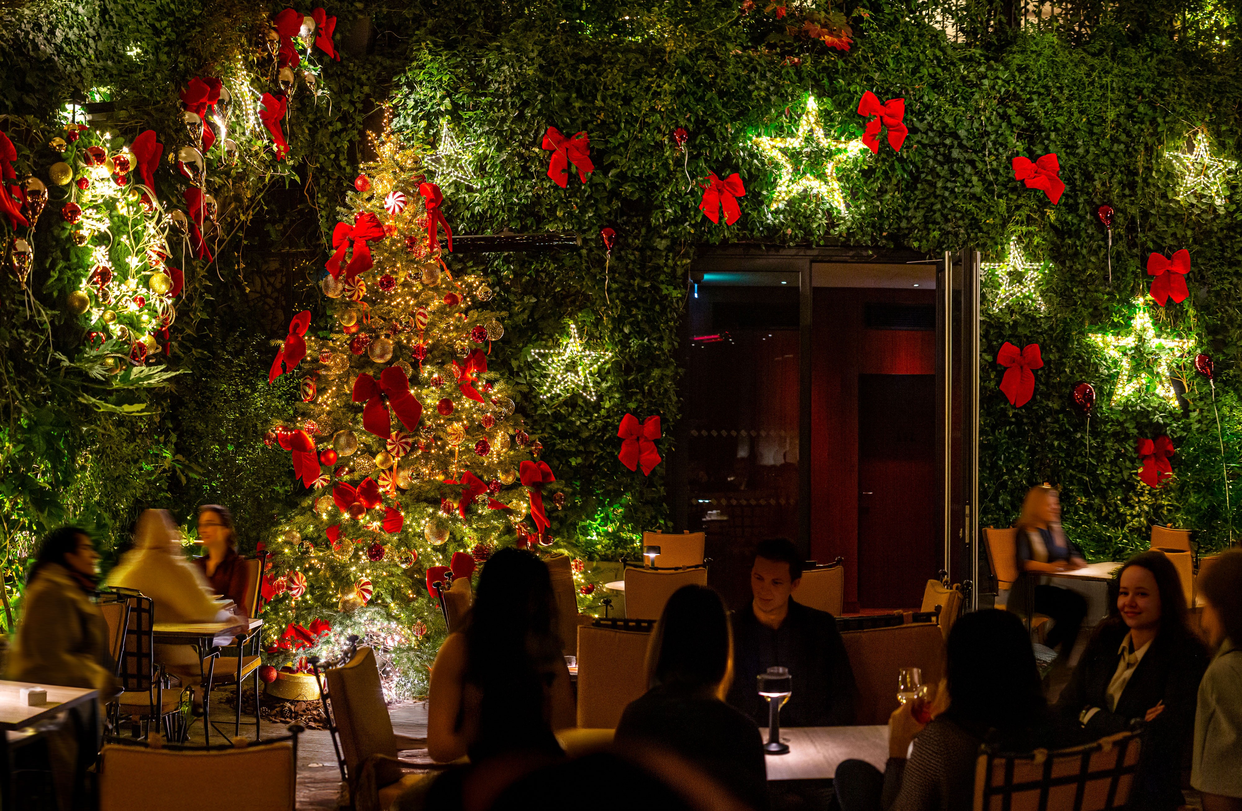 Jardin d'hiver enchanté