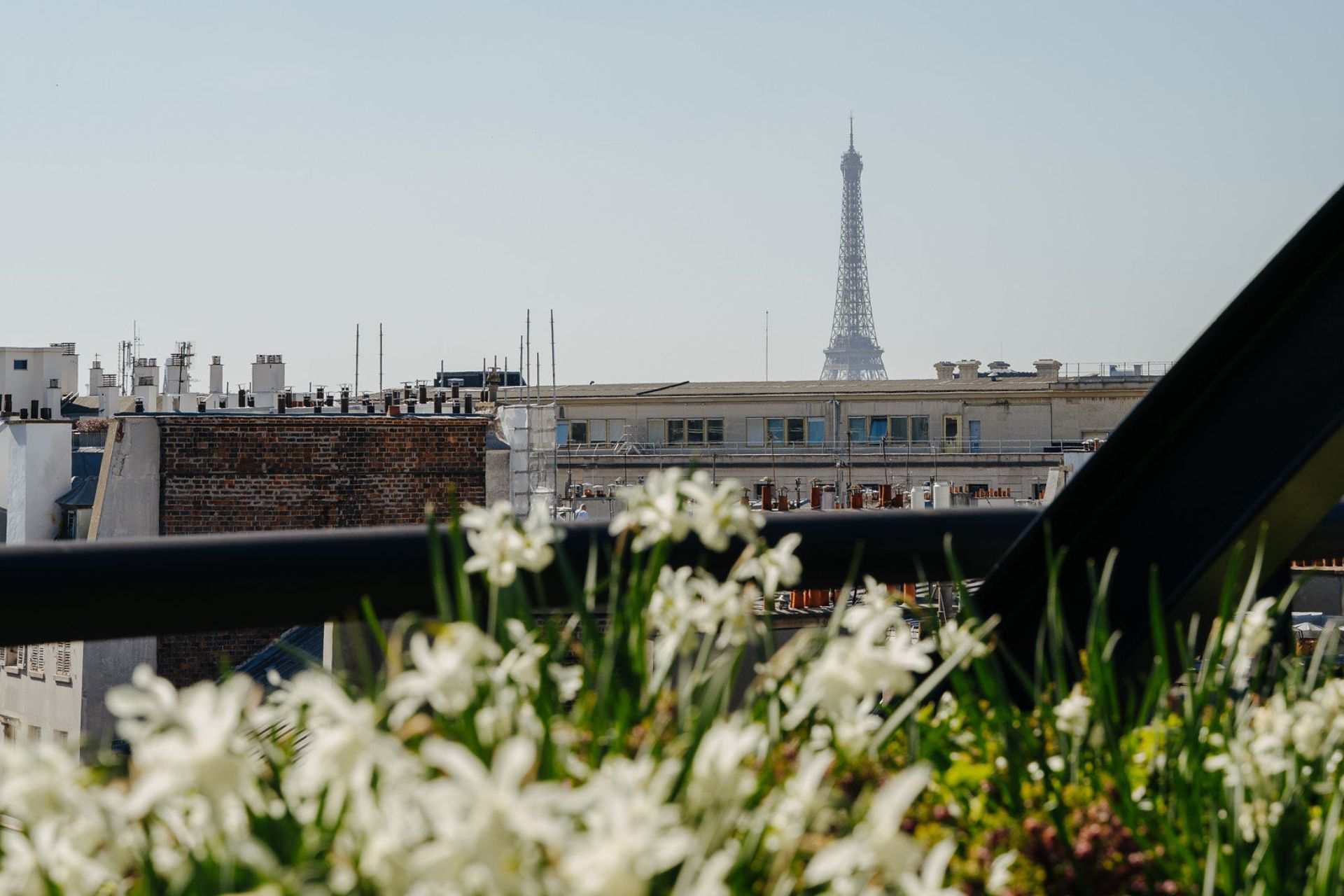 Hôtel-Madame Rêve-vue-Roof-printemps
